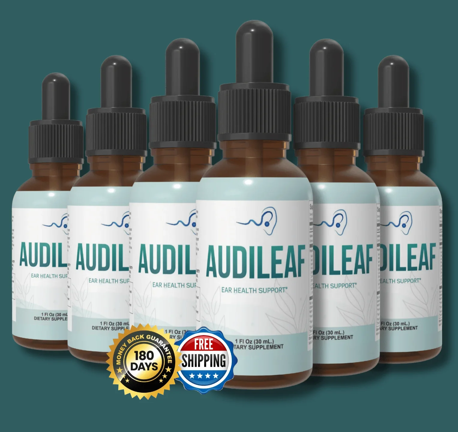 AudiLeaf